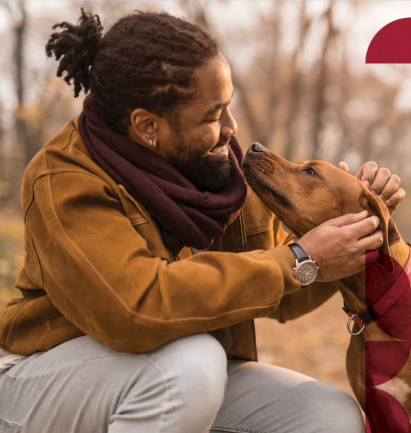 Stanford Benefits Brand and Open Enrollment Blue